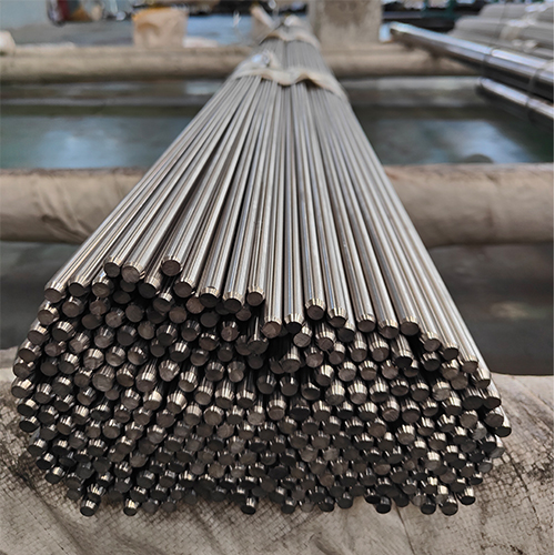 X53CrMnNiN21-9（1.4871）